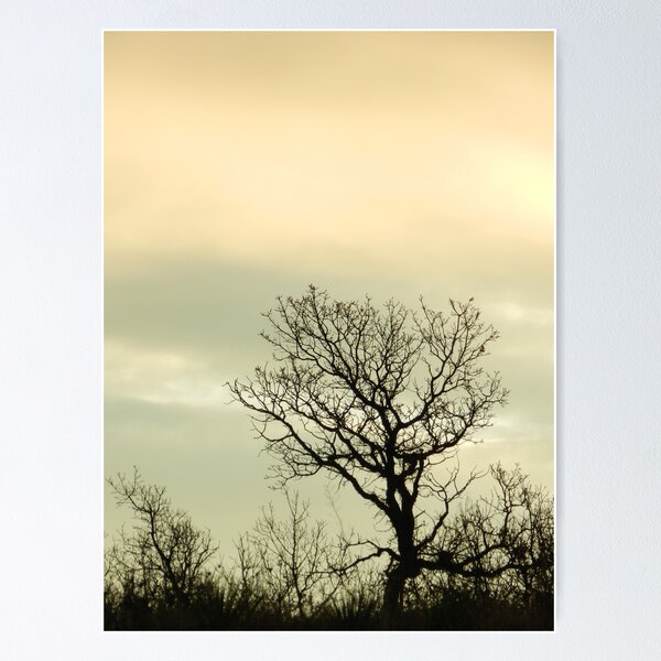 Item preview, Lone Tree designed and sold by Marijane  Moyer.