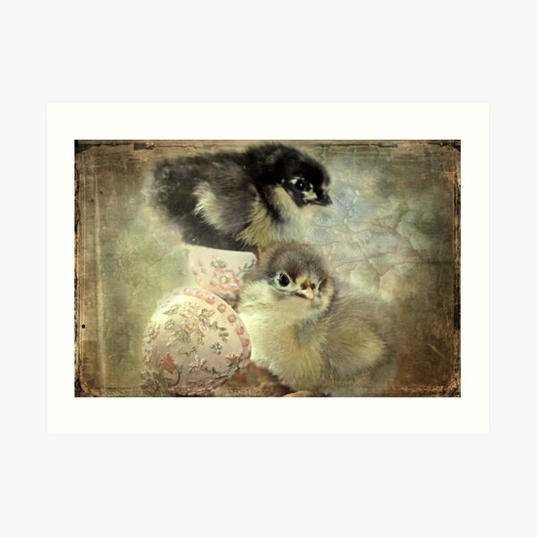 "A Joy Shared is a Joy Doubled...." Art Print