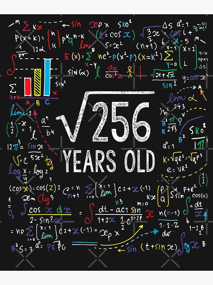 Square Root Of 256 16th Birthday 16 Year Old Ts Math Bday Poster