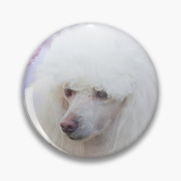 Item preview, Poodle dog designed and sold by ritmoboxers.