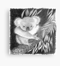 Koala at Night Pencil Sketch Metal Print