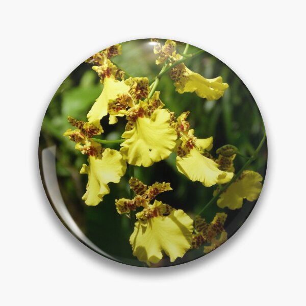 Item preview, Orchid Oncidium sphacelatum designed and sold by Trish Meyer.