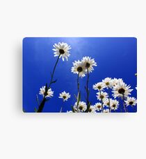 Allotment Canvas Print