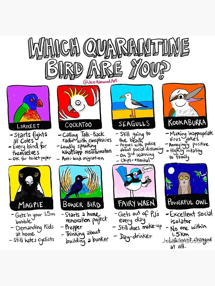 Which Quarantine Bird Are You?  by JessHarwoodArt