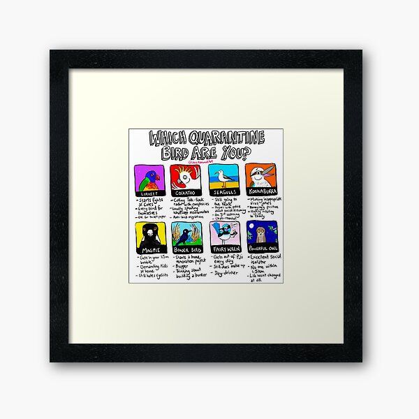 Which Quarantine Bird Are You? Framed Art Print