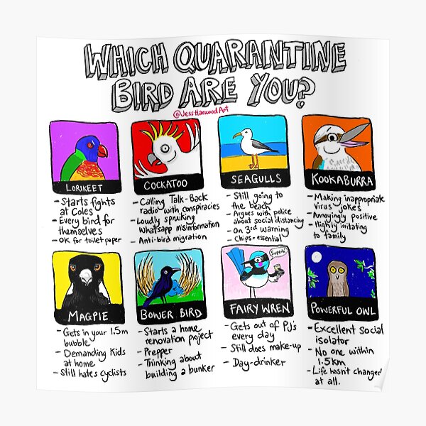 Which Quarantine Bird Are You? Poster