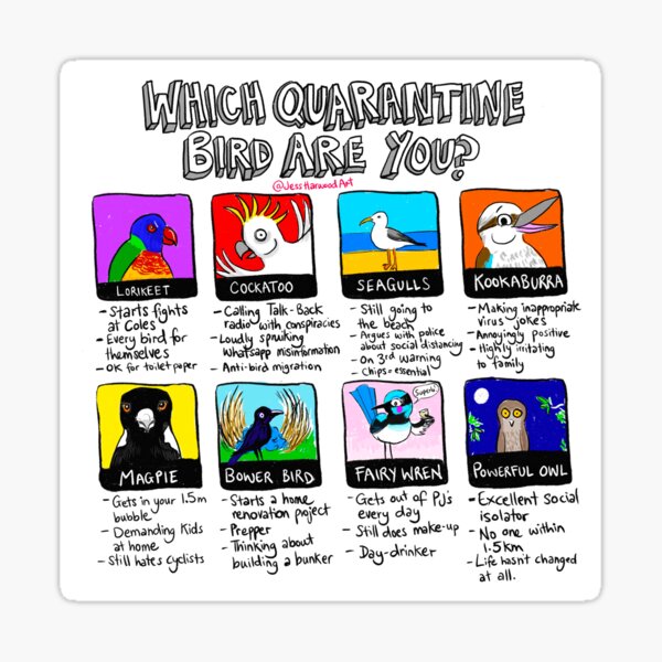 Which Quarantine Bird Are You? Sticker