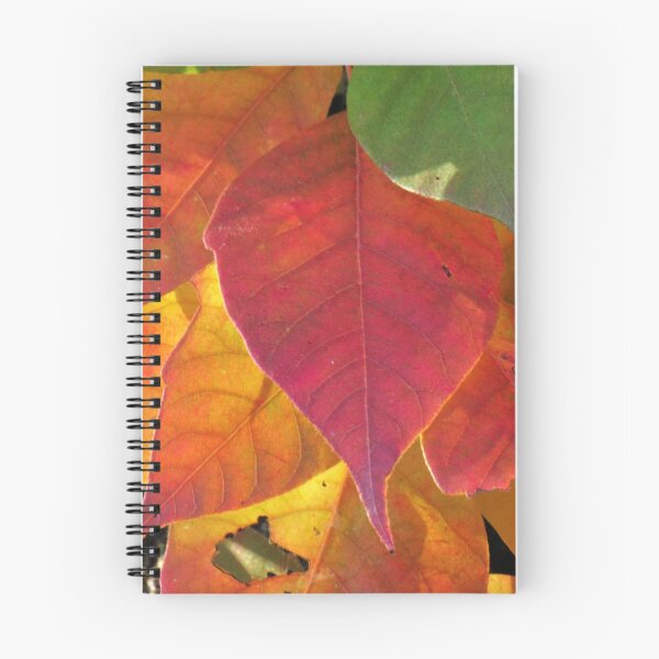 Aperçu de l'œuvre Autumn Color créée et vendue par Lisa Putman.