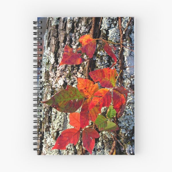 Item preview, Glowing Ivy designed and sold by Lisa Putman.