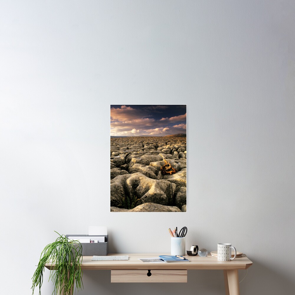 Item preview, Poster designed and sold by sjbowen.
