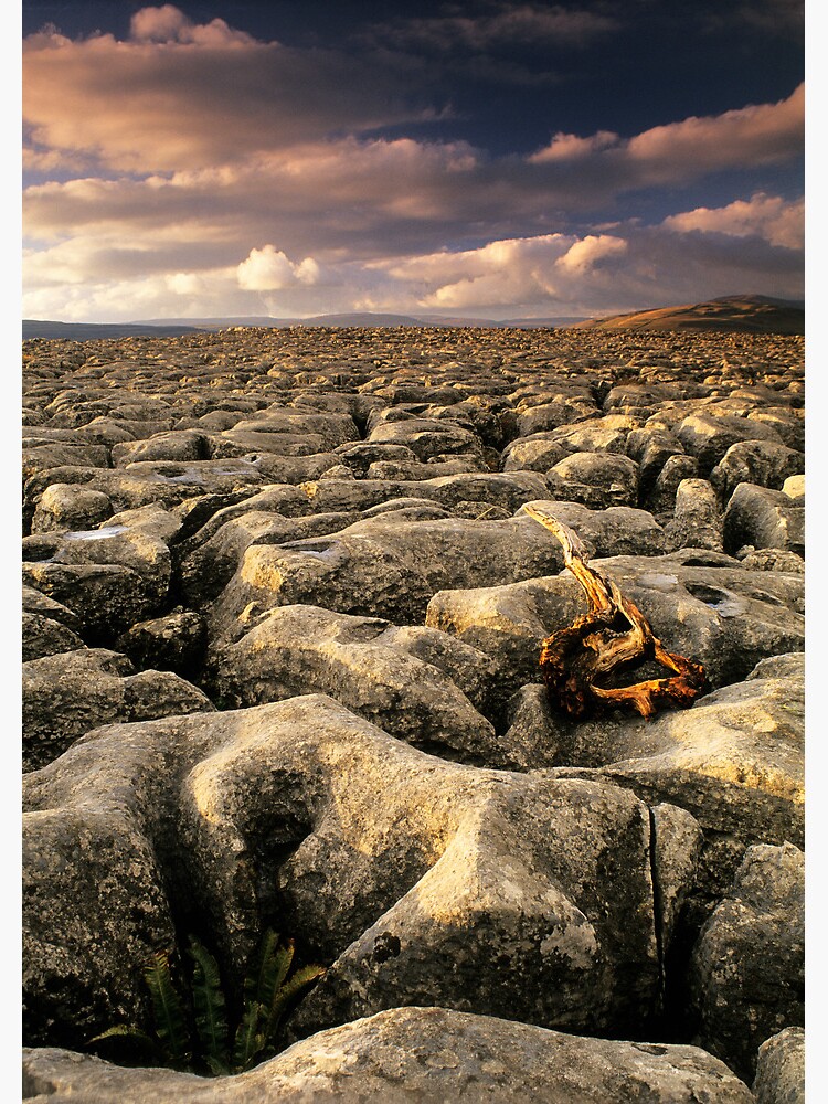 Thumbnail 3 of 3, Art Print, Conistone I designed and sold by sjbowen.