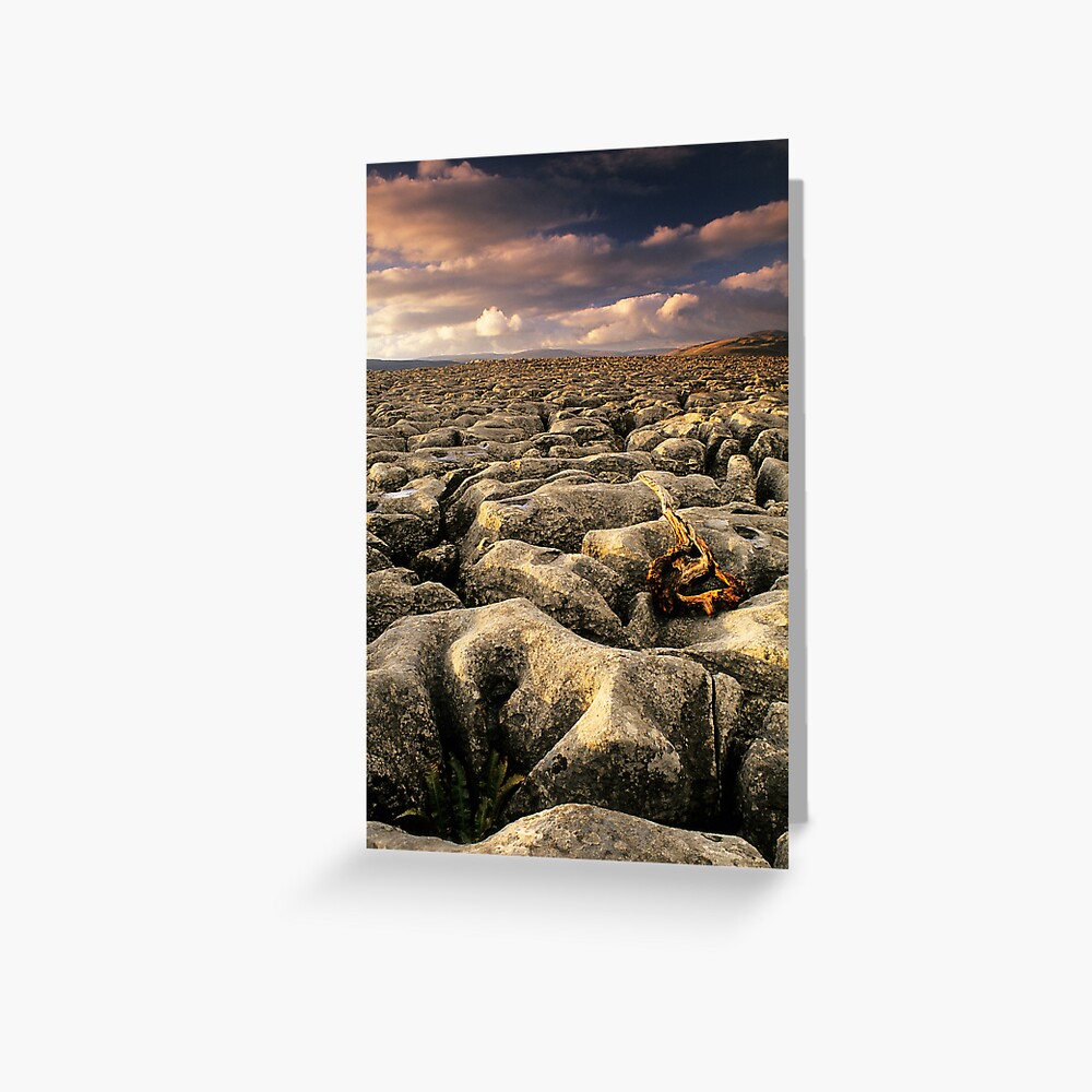 Item preview, Greeting Card designed and sold by sjbowen.