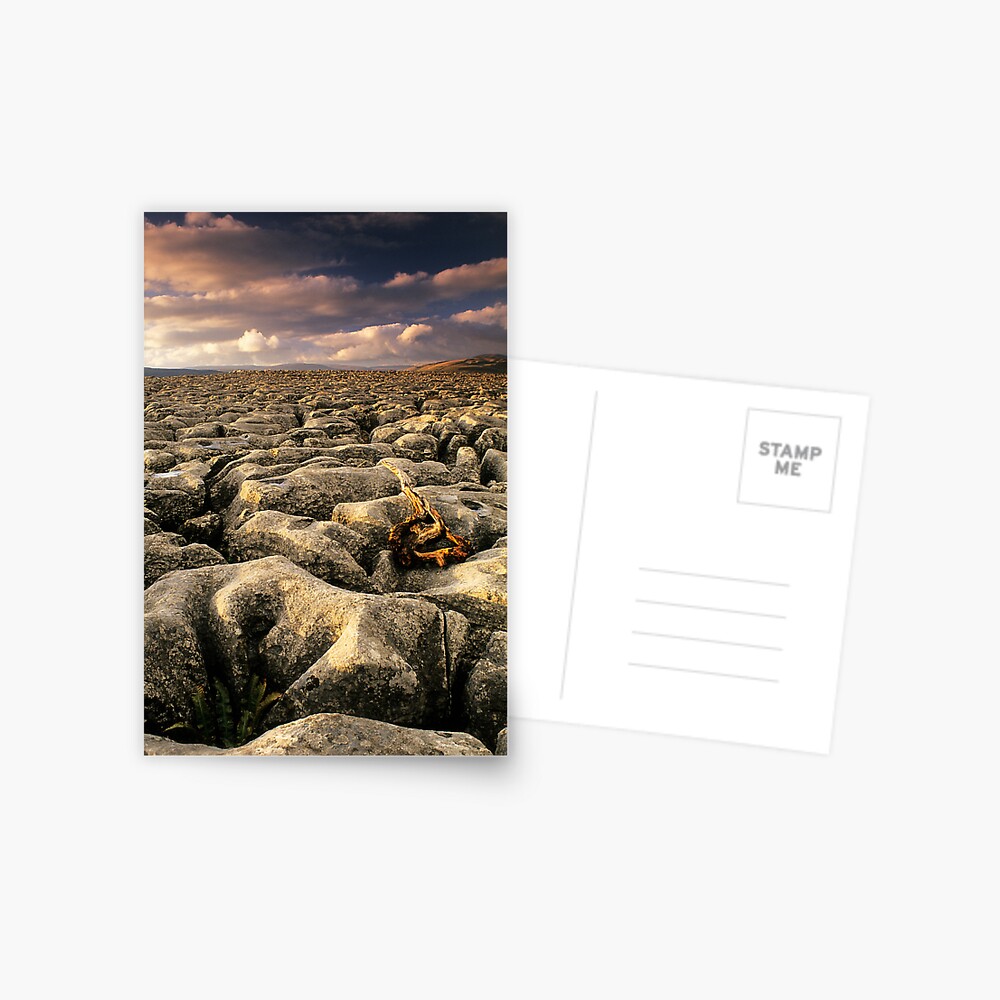 Item preview, Postcard designed and sold by sjbowen.