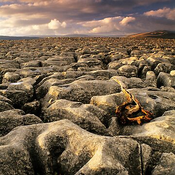 Artwork thumbnail, Conistone I by Simon Bowen