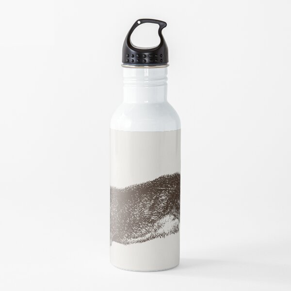 The Rabbit and Roses | Rabbit and Flowers | Vintage Rabbits | Bunny Rabbits | Bunnies | Hares | Water Bottle