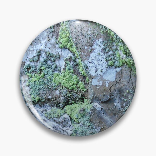 Item preview, Green moss on a stone wall designed and sold by NJH110.