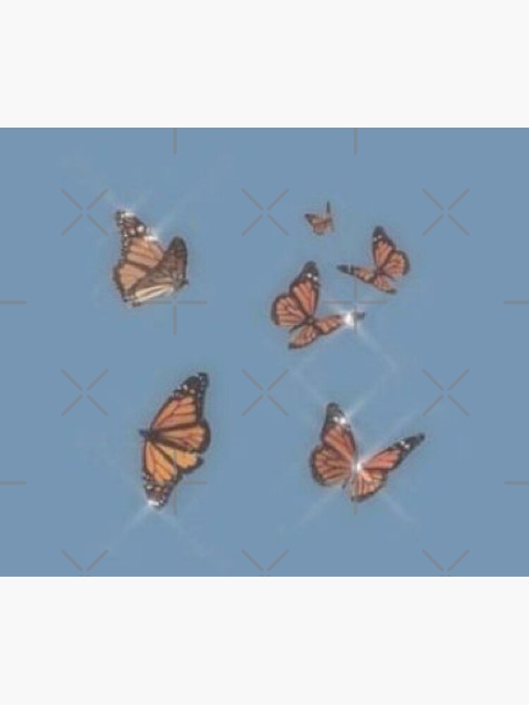 butterflies by Lovelife360