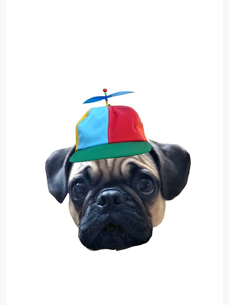 Dog with helicopter on sale hat