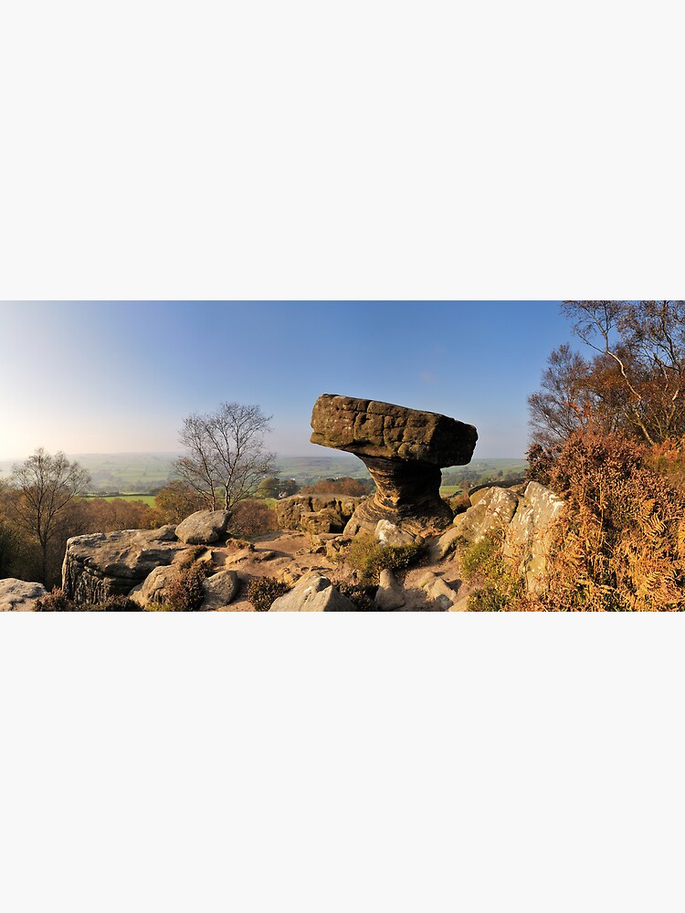 Thumbnail 3 of 3, Art Print, Mushroom, Brimham Rocks designed and sold by sjbowen.