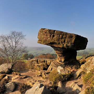 Artwork thumbnail, Mushroom, Brimham Rocks by Simon Bowen