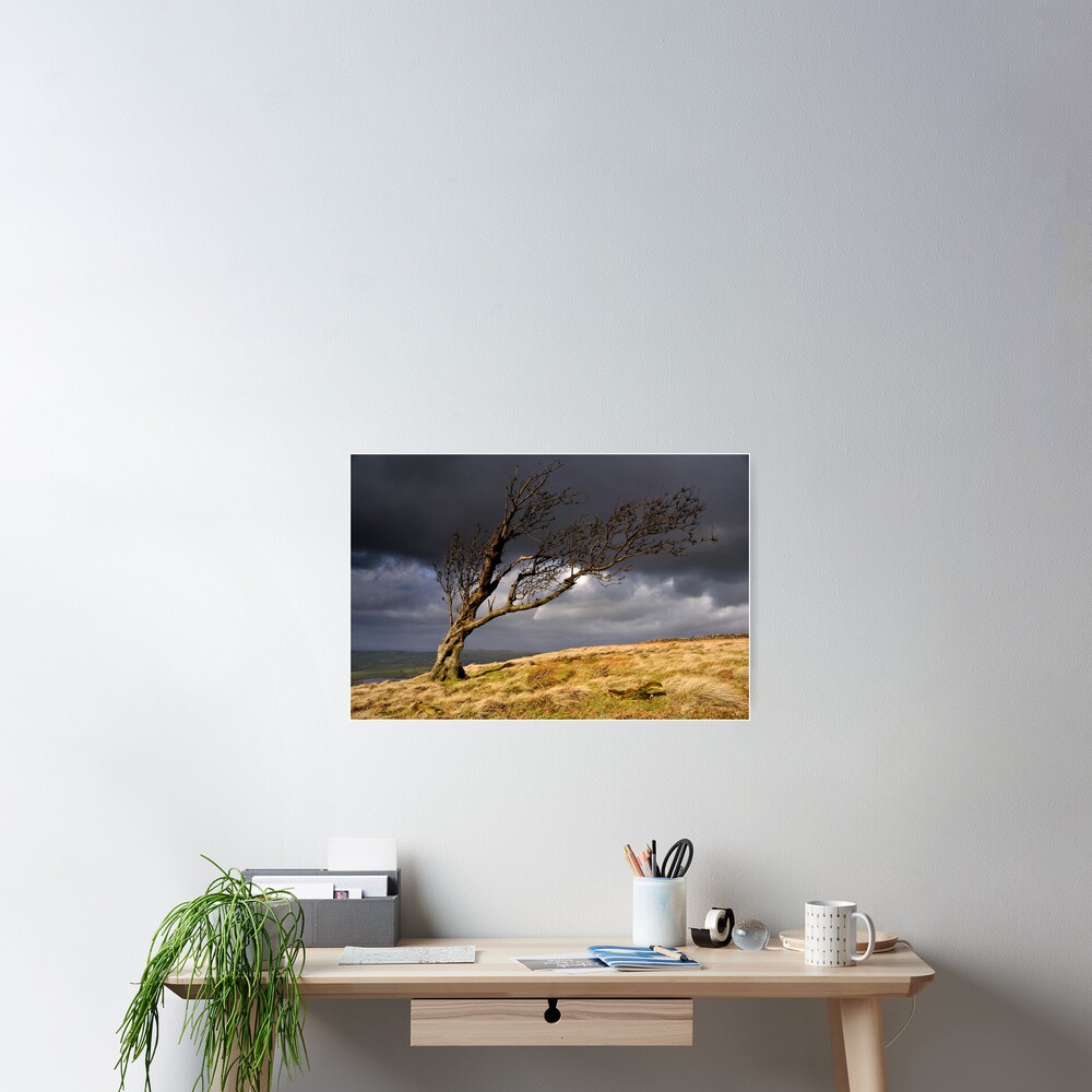 Item preview, Poster designed and sold by sjbowen.