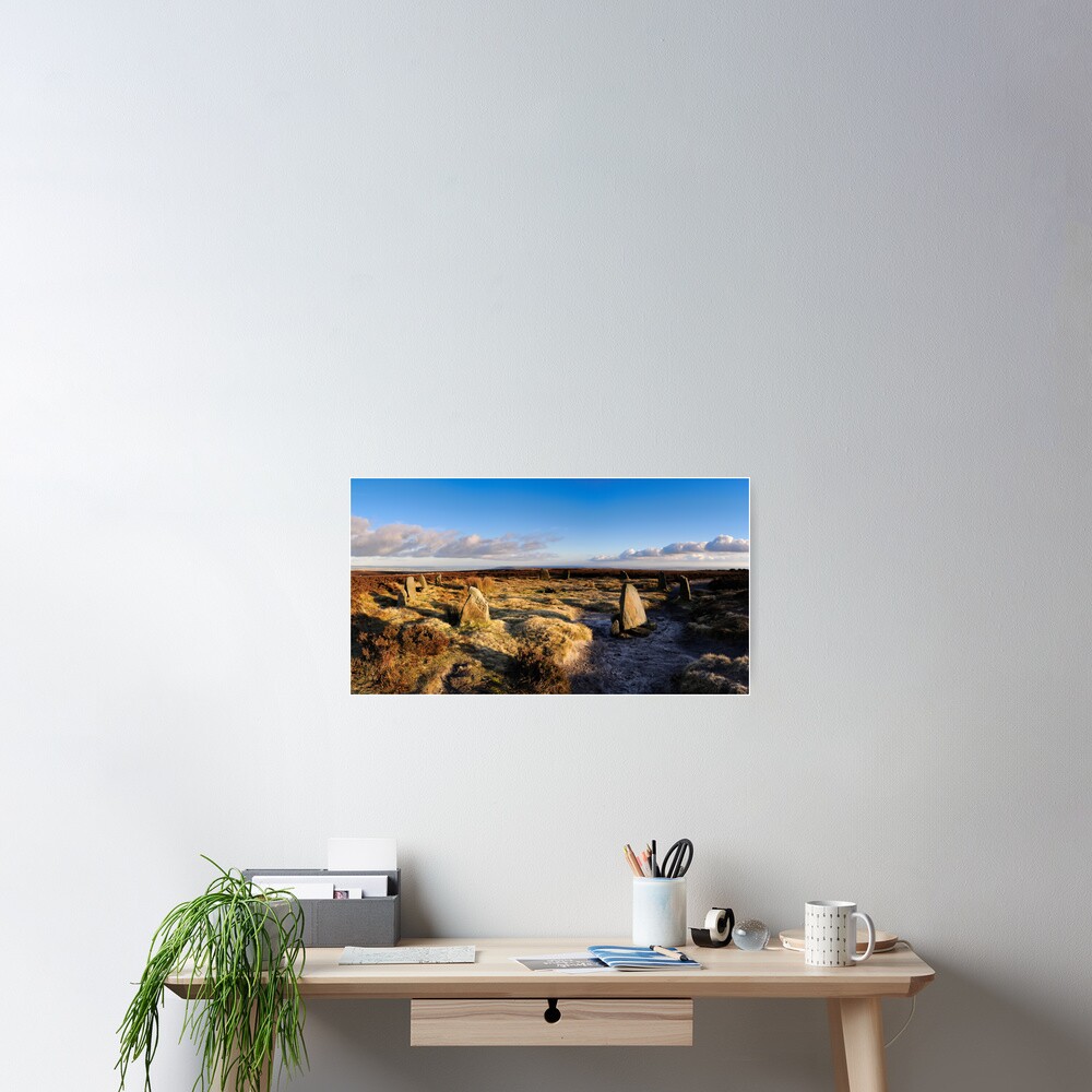 Item preview, Poster designed and sold by sjbowen.