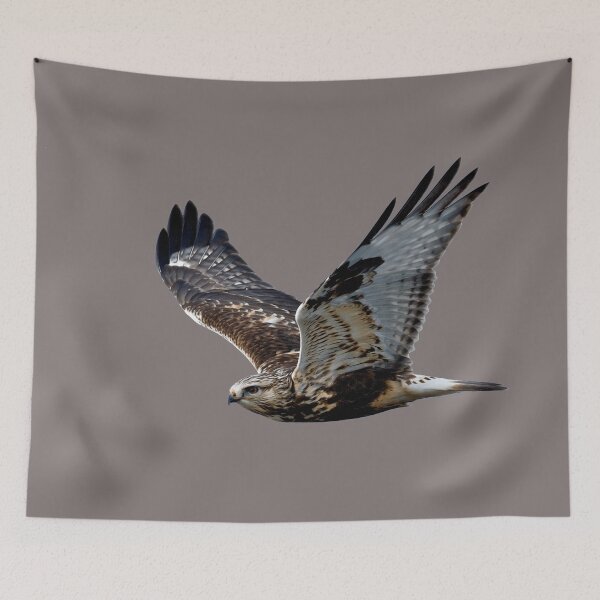 Item preview, Falcon designed and sold by dplachkinova.