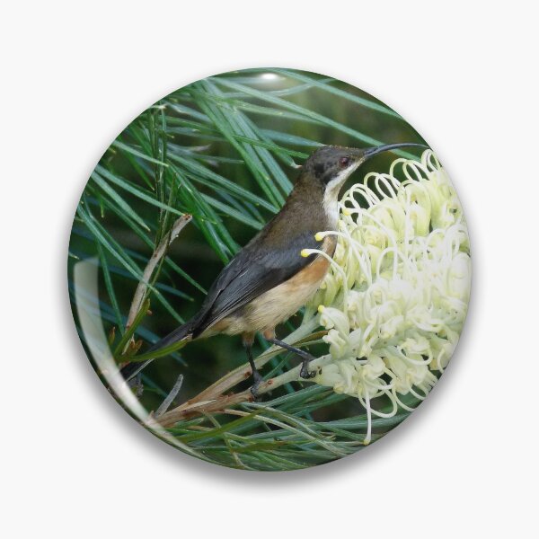 Item preview, Eastern Spinebill & Grevillea Moonlight designed and sold by Trish Meyer.