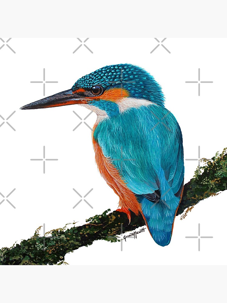 Thumbnail 5 of 5, Coasters (Set of 4), Sacred Kingfisher designed and sold by grimmhewitt67.