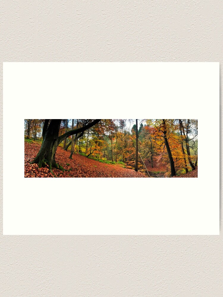 Thumbnail 1 of 3, Art Print, Autumn in Sunnydale designed and sold by sjbowen.