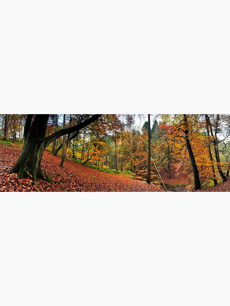 Thumbnail 3 of 3, Art Print, Autumn in Sunnydale designed and sold by sjbowen.