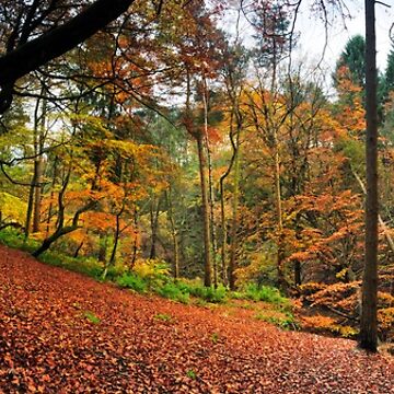 Artwork thumbnail, Autumn in Sunnydale by Simon Bowen