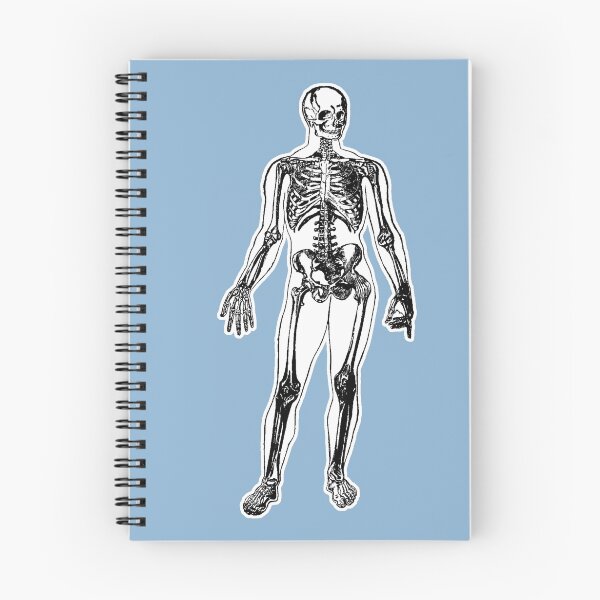 Item preview, The Visible Man designed and sold by Hedrin.