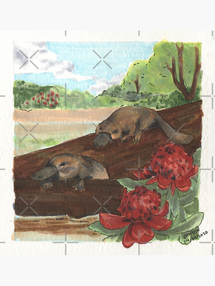 Thumbnail 3 of 3, Sticker, Platypus & Waratah designed and sold by ddanyen.