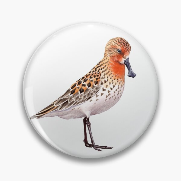 Item preview, Spoon-billed Sandpiper designed and sold by kokayart.
