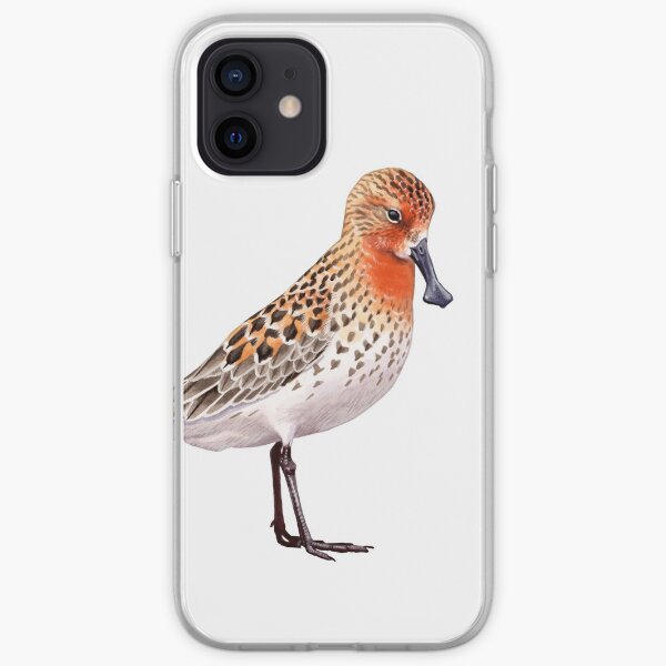 Spoon-billed Sandpiper iPhone Soft Case