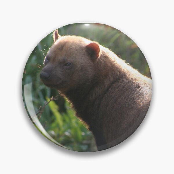 Item preview, Bush dog designed and sold by KcsArt87.
