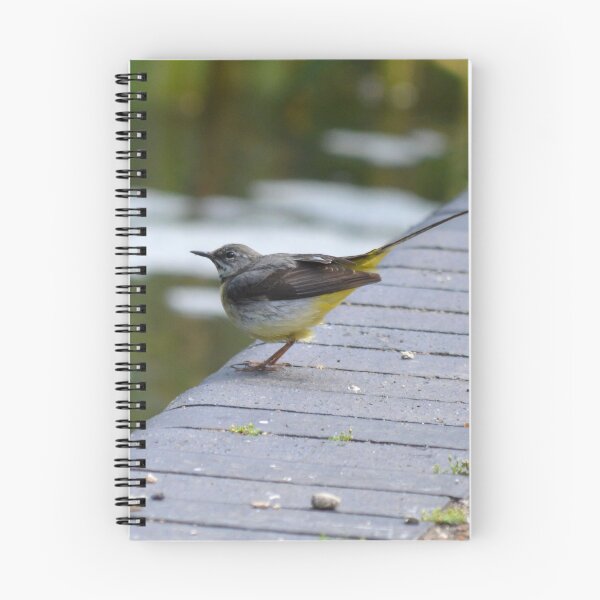 Item preview, GREY WAGTAIL designed and sold by AndyAchilleos.