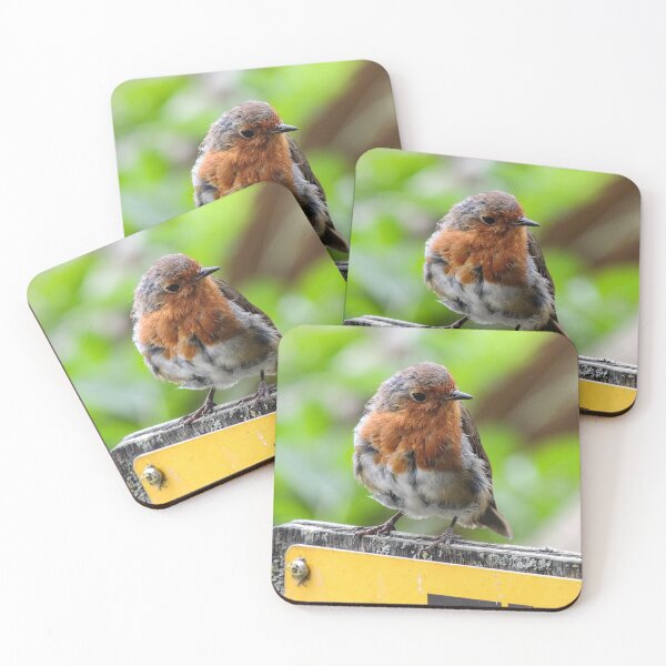 Item preview, Robin en un cartel designed and sold by ChloePorter17.
