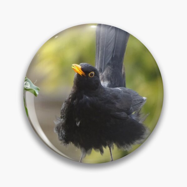 Item preview, blackbird designed and sold by KcsArt87.