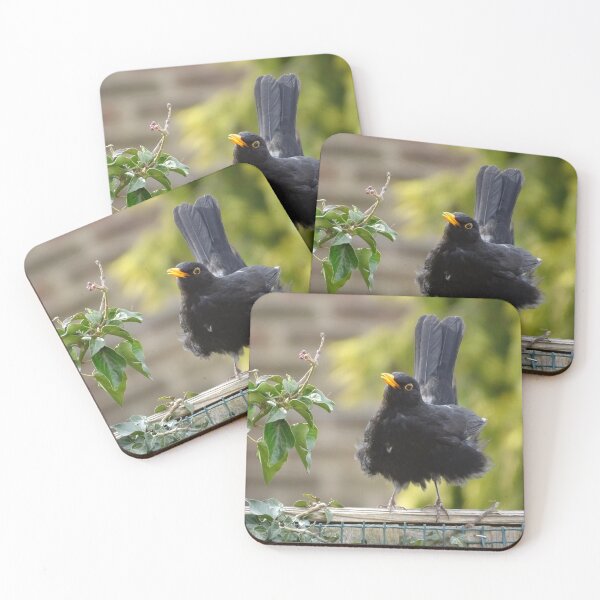 Item preview, blackbird designed and sold by KcsArt87.