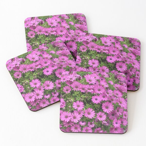 Item preview, Cheery Purple African Daisies  designed and sold by taiche.