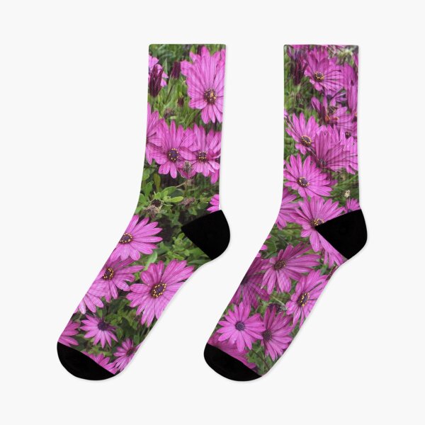 Item preview, Cheery Purple African Daisies  designed and sold by taiche.