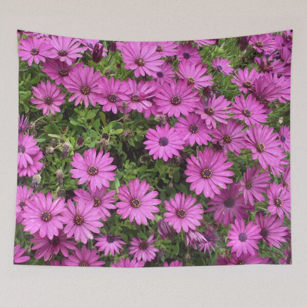 Item preview, Cheery Purple African Daisies  designed and sold by taiche.