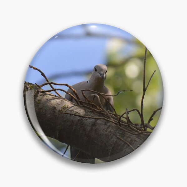 Item preview, COLLARED DOVE designed and sold by AndyAchilleos.