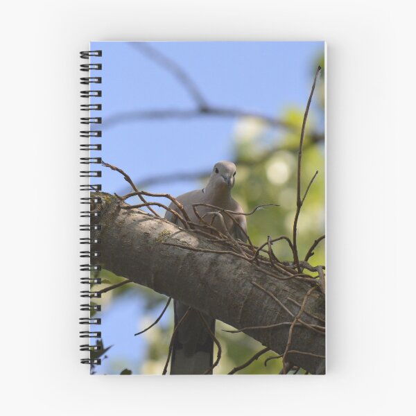 Item preview, COLLARED DOVE designed and sold by AndyAchilleos.