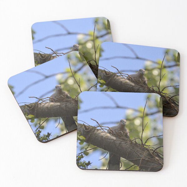 Item preview, COLLARED DOVE designed and sold by AndyAchilleos.