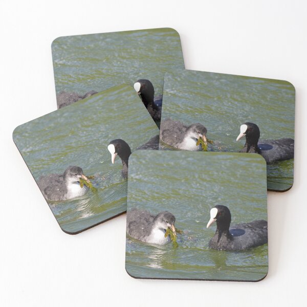 Item preview, COOTES designed and sold by AndyAchilleos.
