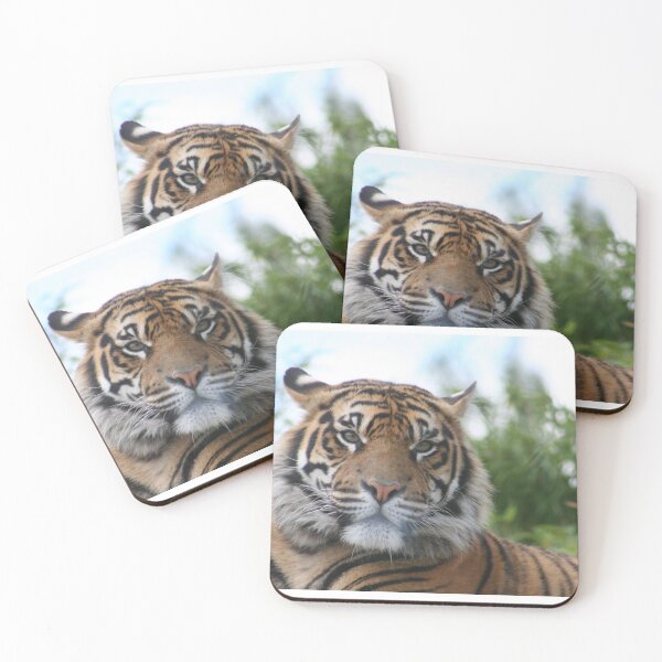 Item preview, Stunning Sumatran Tiger designed and sold by KcsArt87.