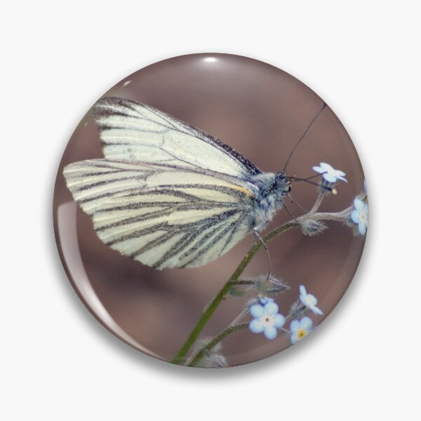 Item preview, GREEN VEINED WHITE BUTTERFLY designed and sold by AndyAchilleos.